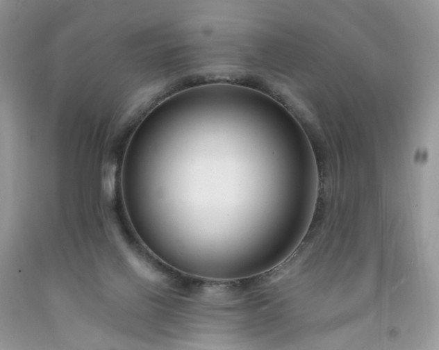 X0000091670070200709061051