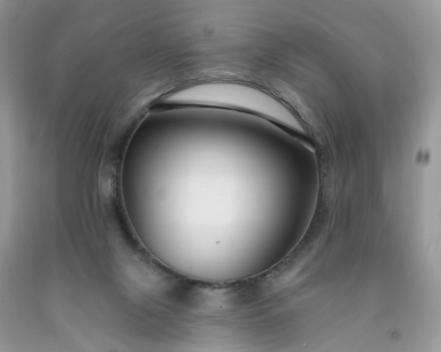 X0000091670071200709061051