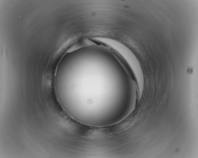 X0000091670072200709061051