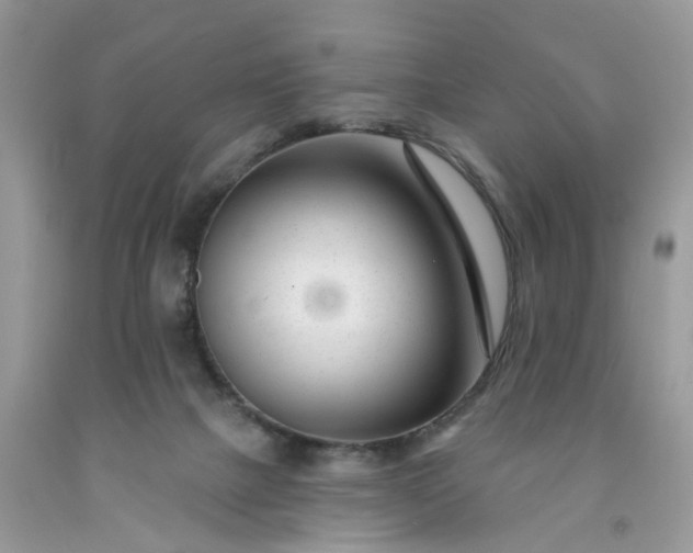 X0000091670073200709061051
