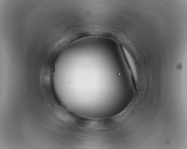 X0000091670074200709061051