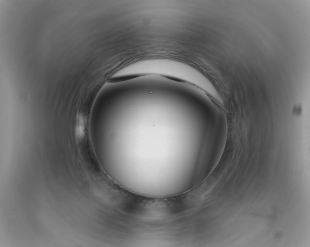X0000091670075200709061051