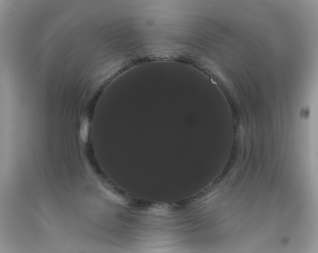 X0000091670076200709061051