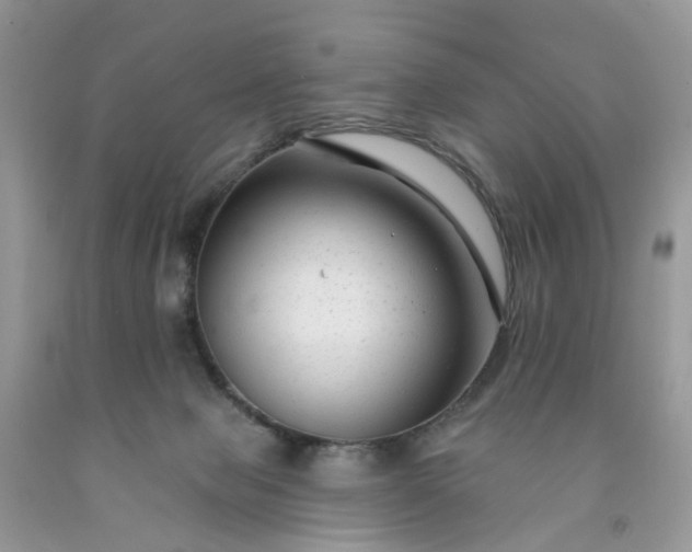 X0000091670077200709061051