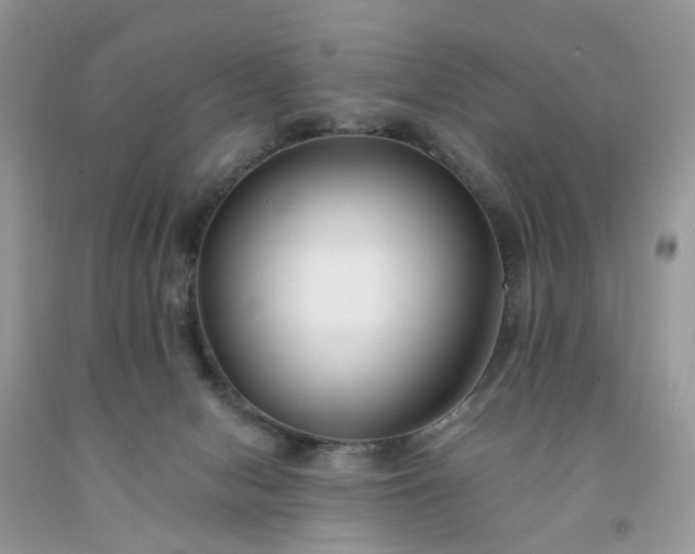 X0000091670078200709061051