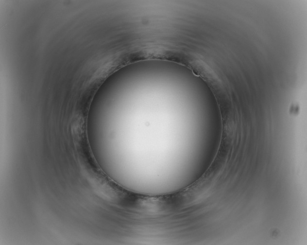 X0000091670079200709061051