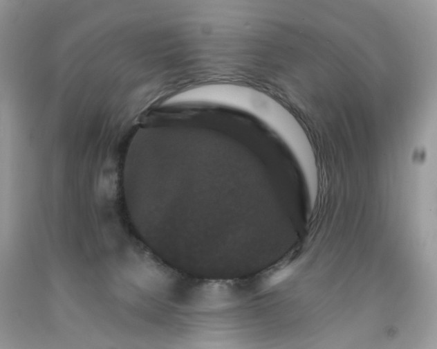 X0000091670080200709061051