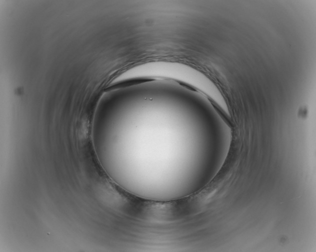X0000091670081200709061051