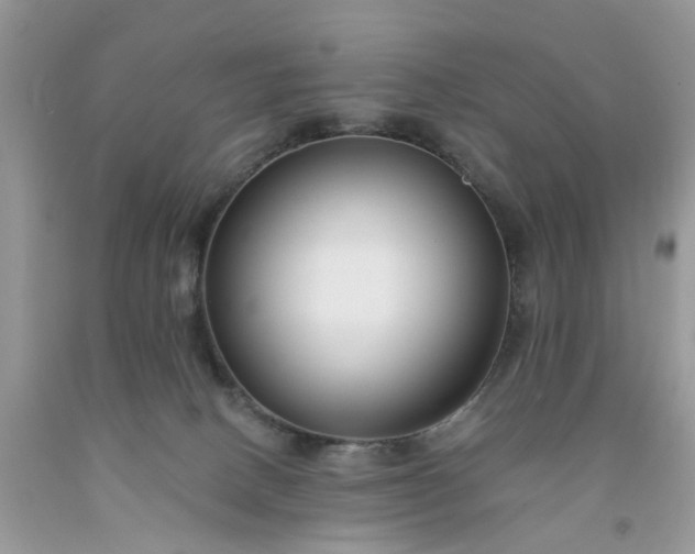 X0000091670082200709061051