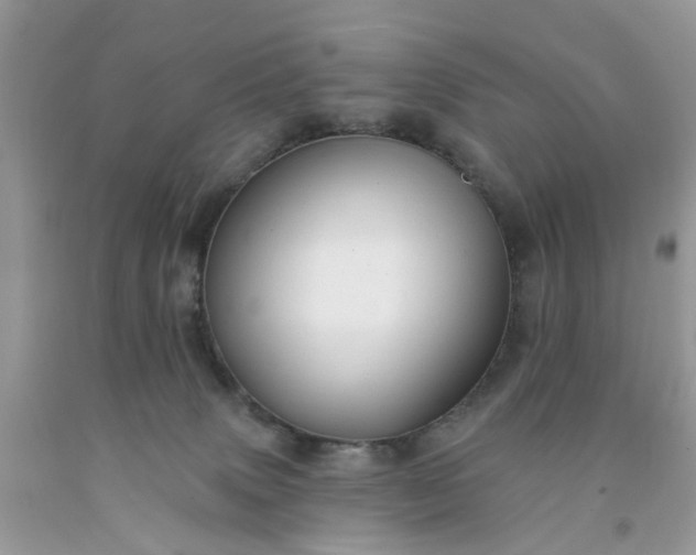 X0000091670083200709061051