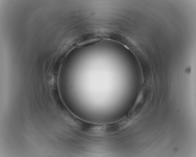 X0000091670084200709061051