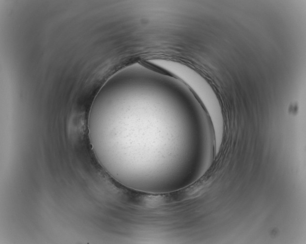 X0000091670085200709061051