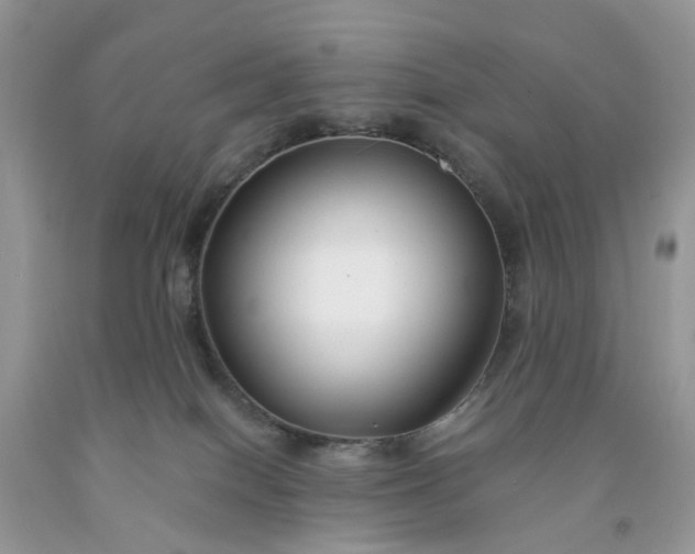 X0000091670086200709061051