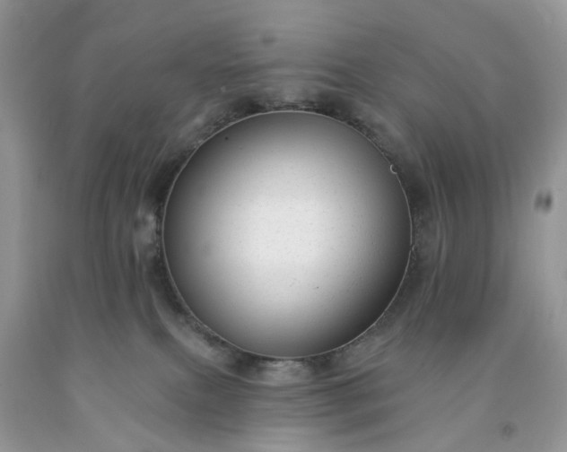 X0000091670087200709061051