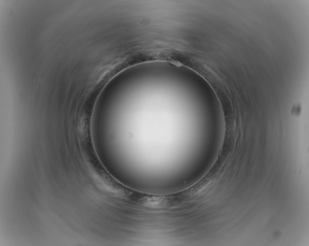 X0000091670088200709061051