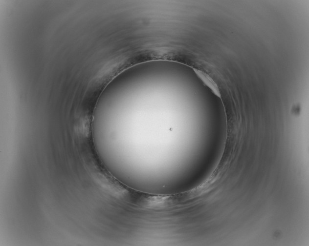 X0000091670090200709061051