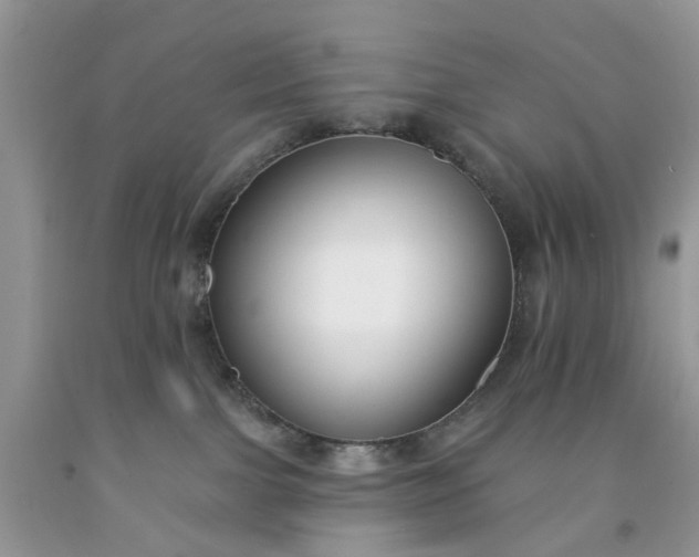X0000091670091200709061051