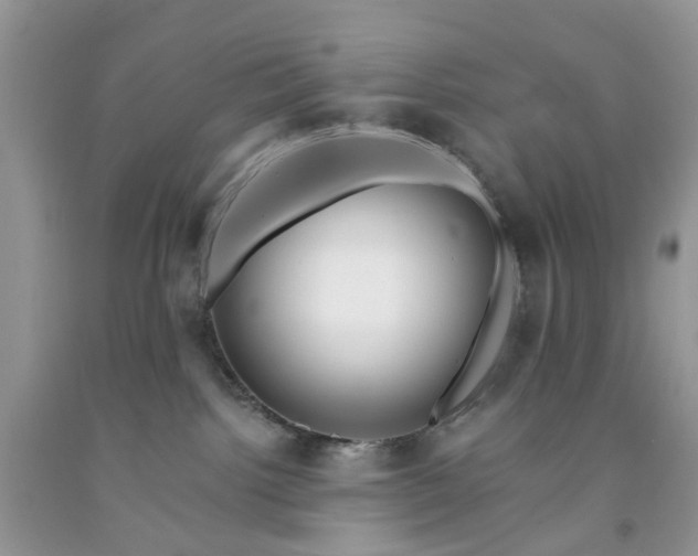 X0000091670092200709061051