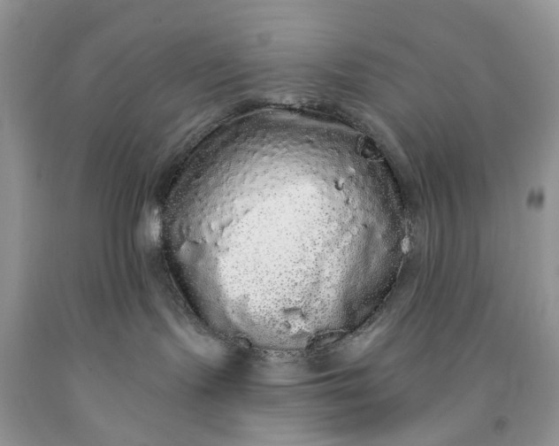 X0000091670095200709061052