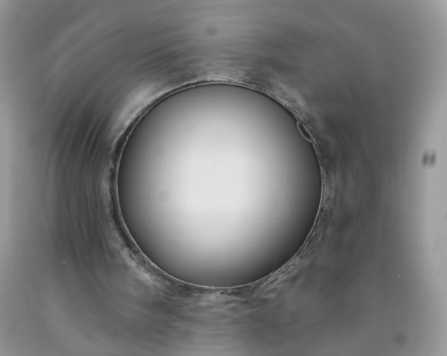 X0000091670098200709061051