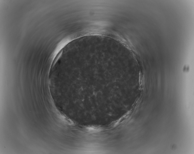 X0000091670099200709061051