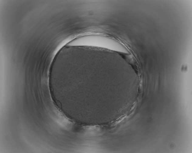 X0000091670100200709061051