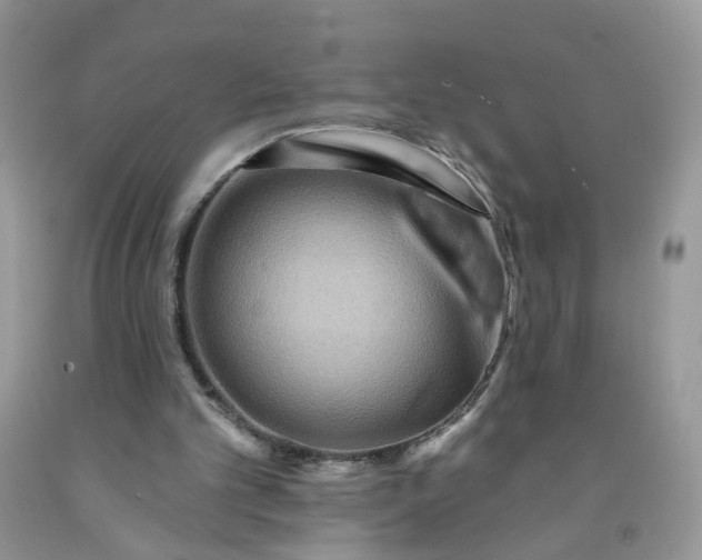 X0000091670101200709061051