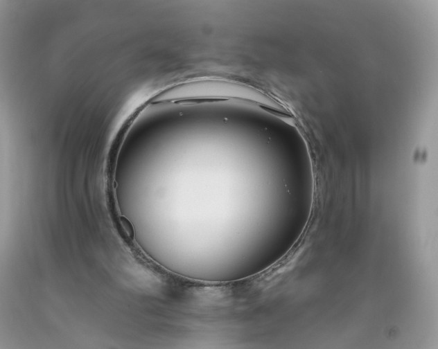 X0000091670102200709061051