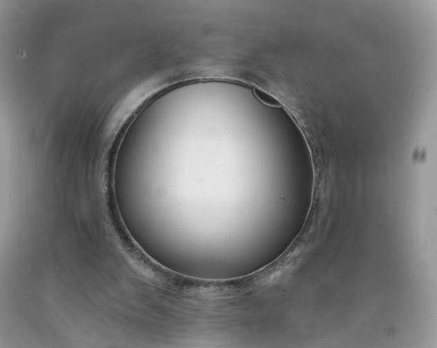 X0000091670103200709061051