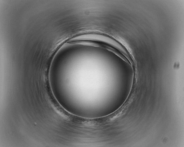 X0000091670105200709061051