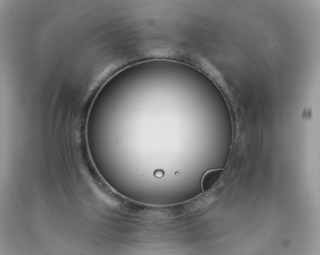 X0000091670106200709061051
