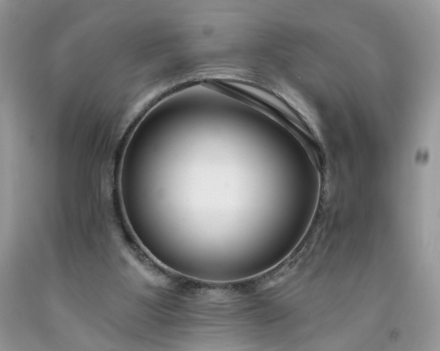 X0000091670107200709061051