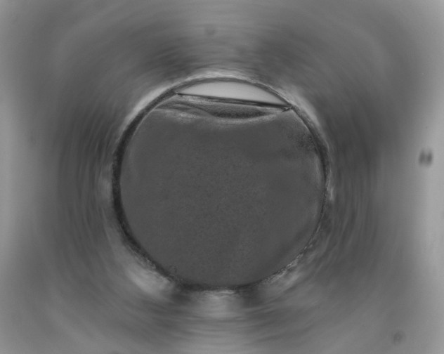 X0000091670108200709061051