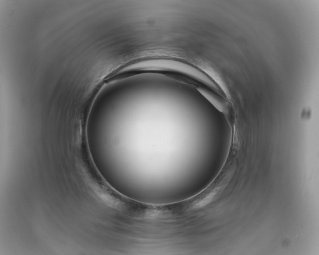 X0000091670109200709061051