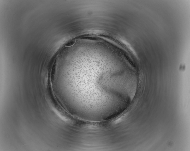 X0000091670110200709061051