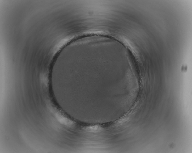 X0000091670112200709061051