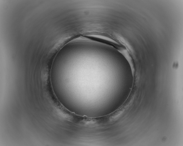 X0000091670113200709061051