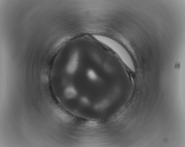 X0000091670114200709061051