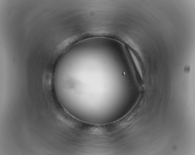 X0000091670115200709061051