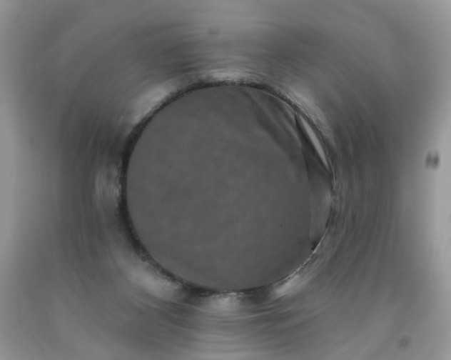X0000091670116200709061051