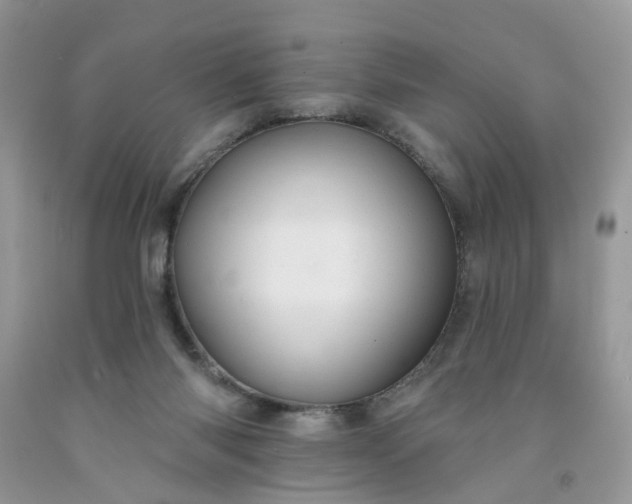 X0000091670118200709061051