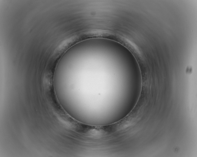 X0000091670119200709061051