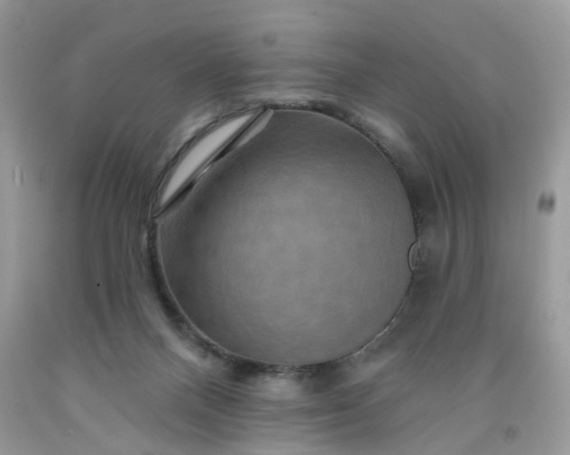 X0000091670120200709061051