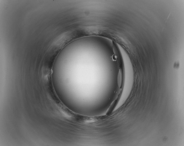 X0000091670125200709061050