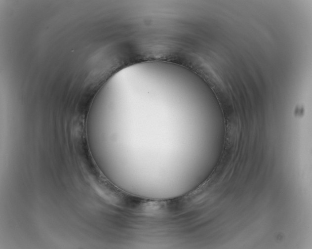 X0000091670126200709061050