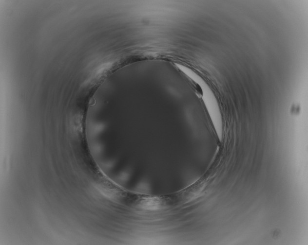 X0000091670127200709061050