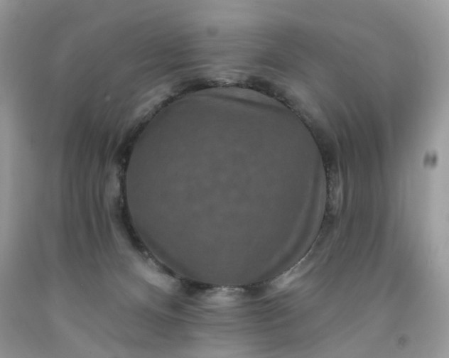 X0000091670128200709061050