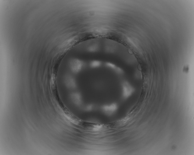 X0000091670130200709061050