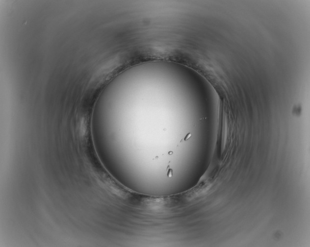 X0000091670131200709061050