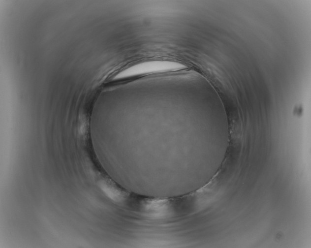 X0000091670132200709061050